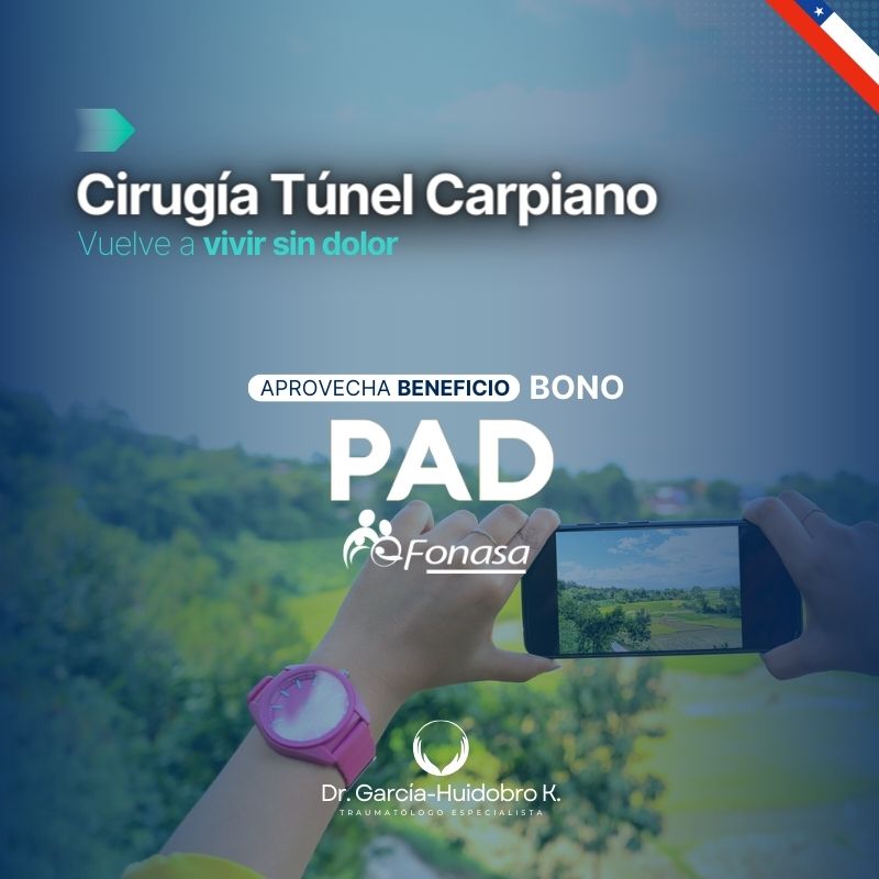 Bono pad fonasa túnel carpiano